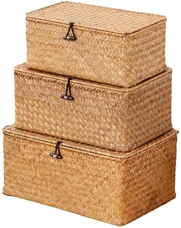 Wicker Storage Baskets with Lids, Set of 3